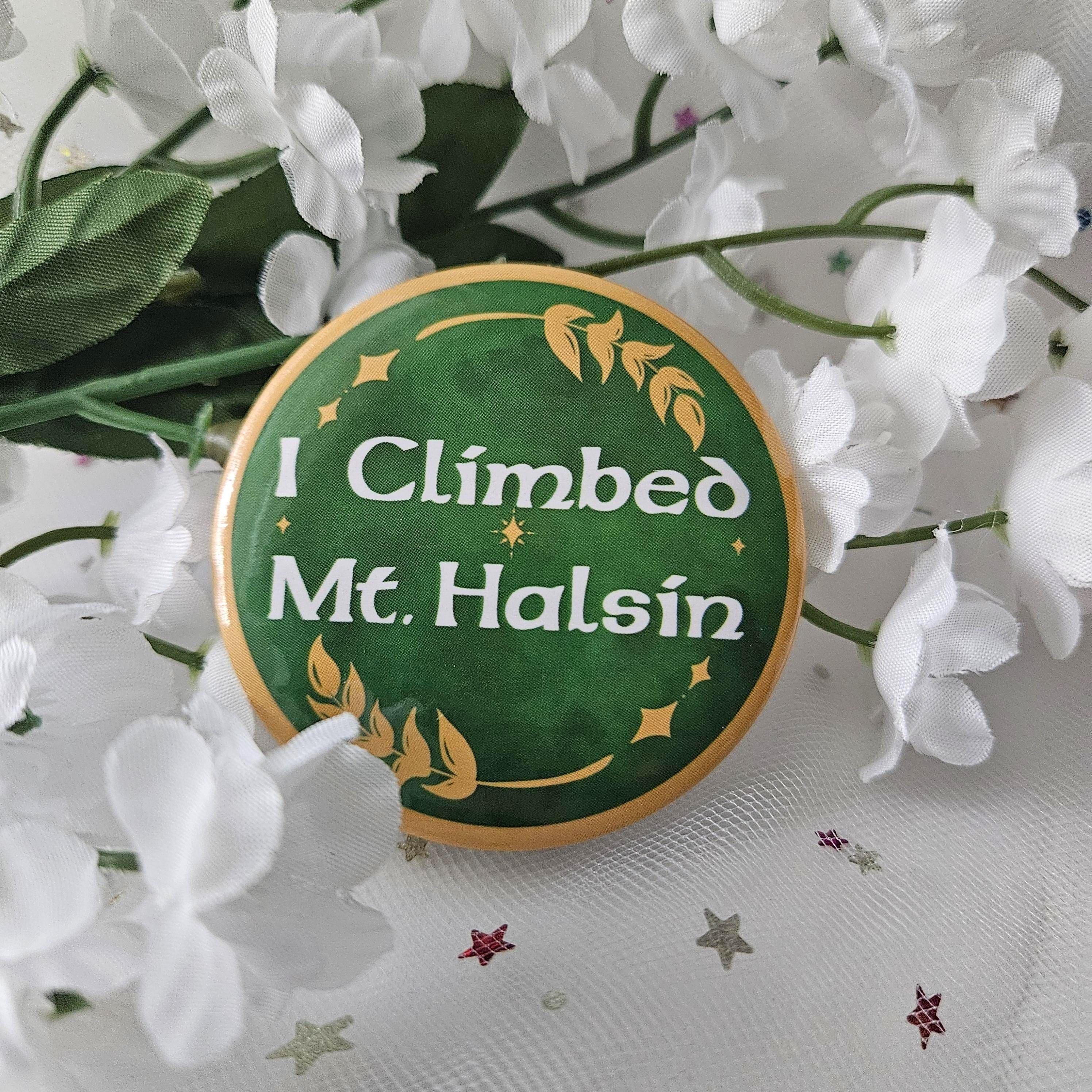 I Climbed Mount Halsin BG3 Pin
