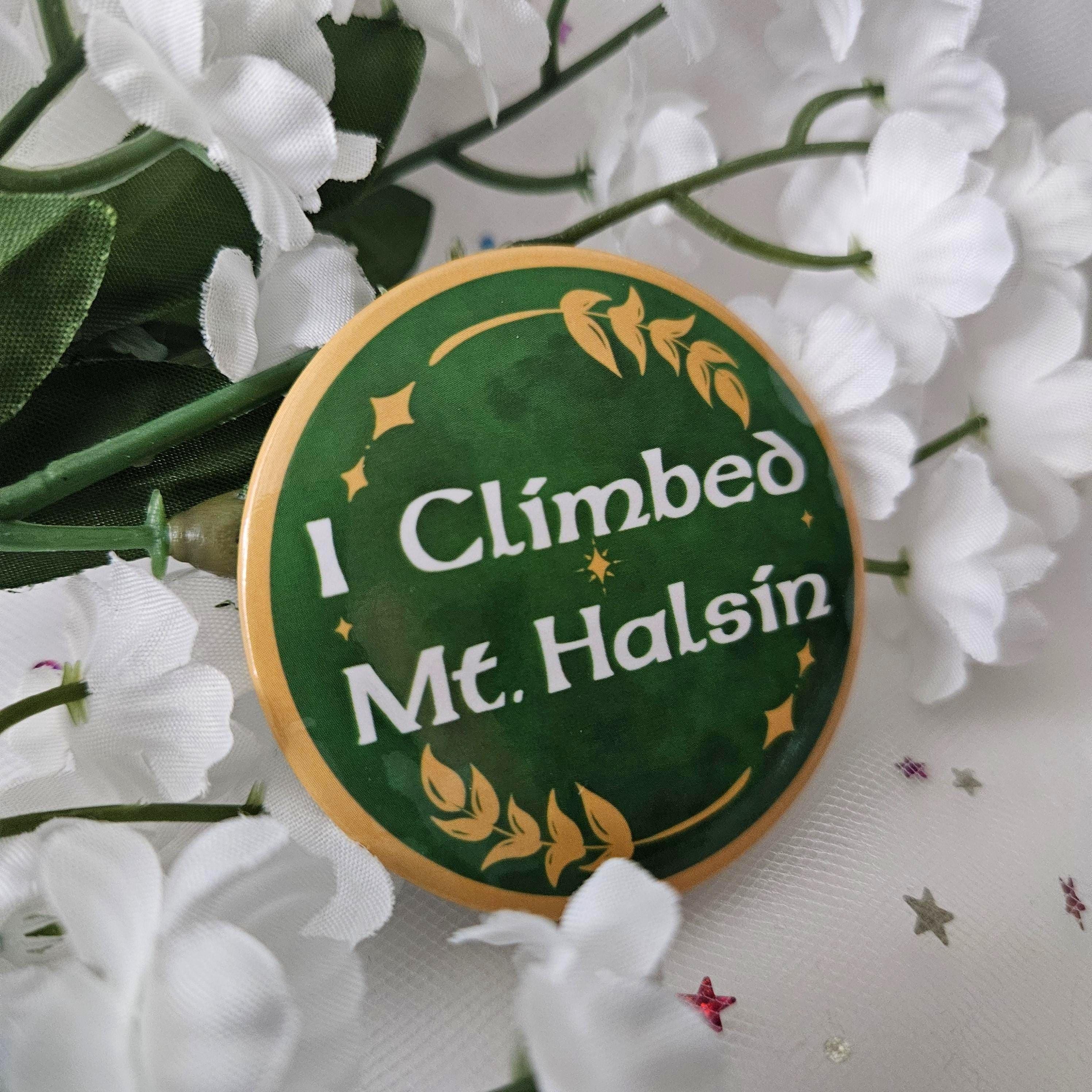 I Climbed Mount Halsin BG3 Pin