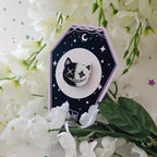 Two Faced Rag Cat Pin