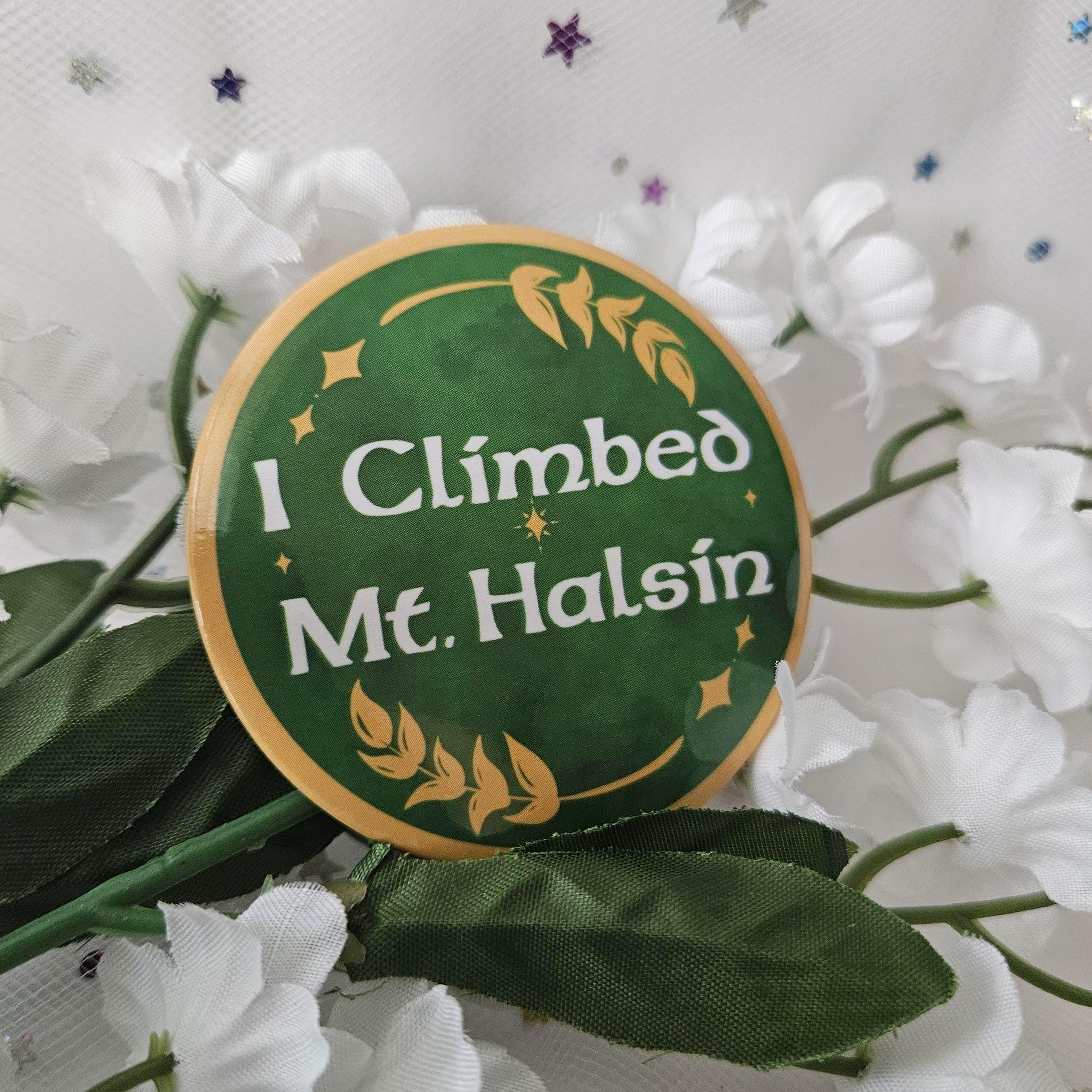 I Climbed Mount Halsin BG3 Pin